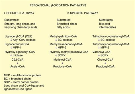 Peroxisomal Disorders | Neupsy Key