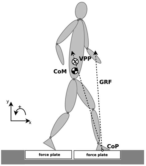 Symmetry | Free Full-Text | A Study on the Intersection of Ground Reaction Forces during ...