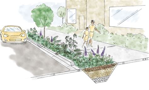 Bioswale Color in 2021 | Landscape, Landscape architecture ...