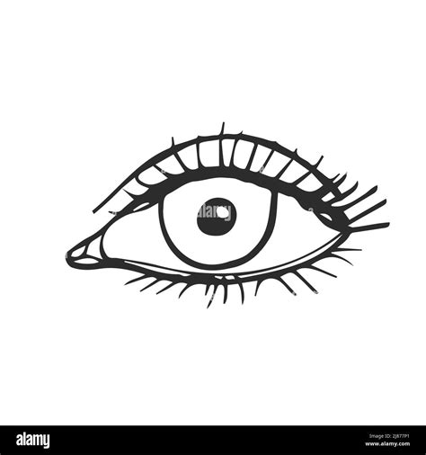Doodle human Eye. Vector sketch isolated Stock Vector Image & Art - Alamy