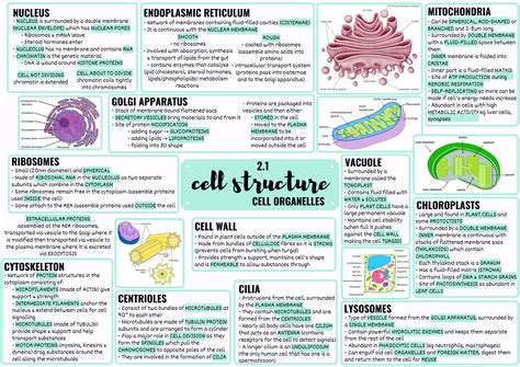 Ocr Alevel Biology Cell Structure Teaching Resources | sexiezpix Web Porn