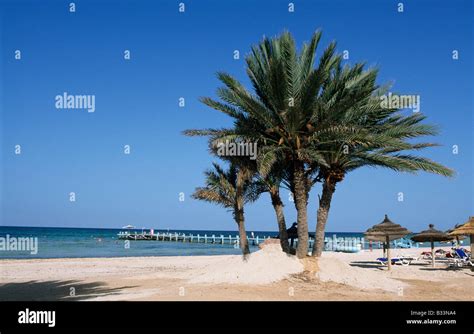 Oasis zarzis hi-res stock photography and images - Alamy