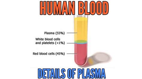 Blood Plasma Plasma Color Chart