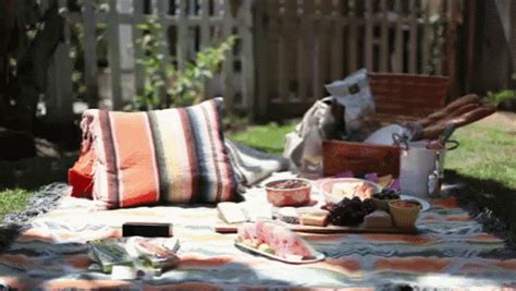 Summer Picnic GIF - Picnic Summer Backyard - Discover & Share GIFs