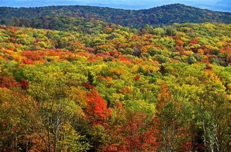 Greater Elkins area named as the next Ascend WV community - WV MetroNews