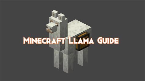 Minecraft Llama Guide: Drops, Behavior and Attacks - Pillar Of Gaming