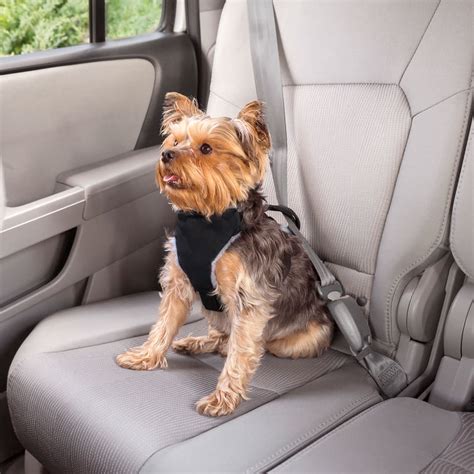 Car Safety Seat Belt For Dogs - Velcromag