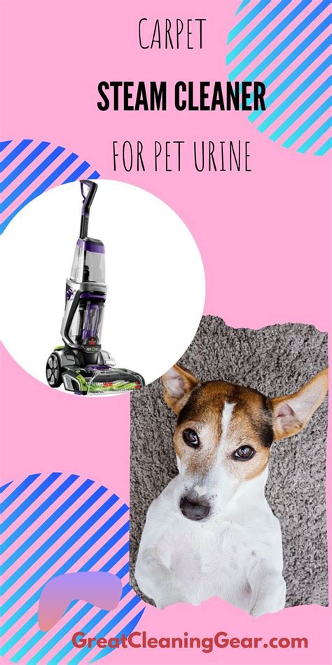 Best Steam Cleaner for Carpets with Pets - Great Cleaning Gear | Steam ...