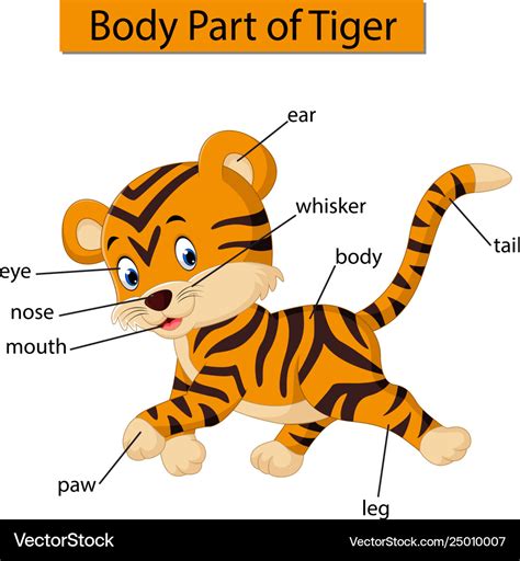 [DIAGRAM] Origami Tiger Diagramsplex - MYDIAGRAM.ONLINE