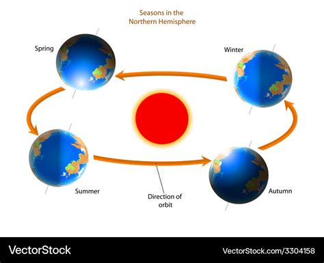 Cycle of seasons Royalty Free Vector Image - VectorStock