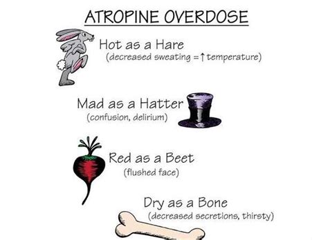 Atropine poisoning - MEDizzy