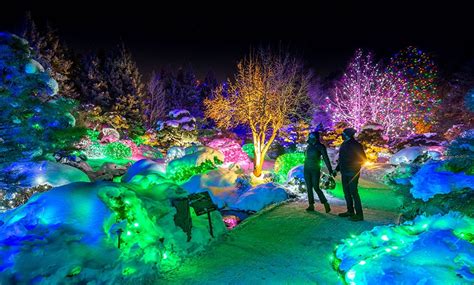 This Sensational Holiday Lights Extravaganza Transforms Denver Botanic ...