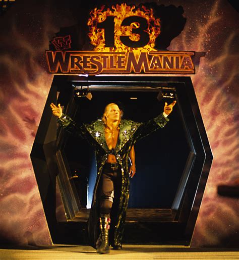 Wrestlemania 13 Triple H - WWF WrestleMania XIII (13) Heat Photo ...