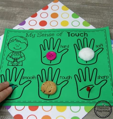 5 Senses - Planning Playtime | Five senses preschool, Preschool crafts, Senses preschool