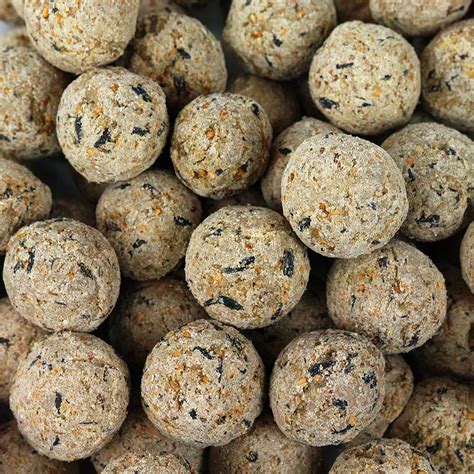 GardenersDream Suet Fat Balls - High Energy Feed Wild Garden Bird Food Treats | eBay