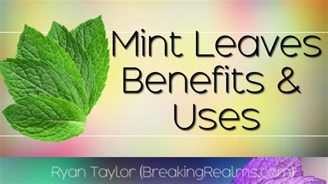 Mint Leaves: Health Benefits and Uses - YouTube