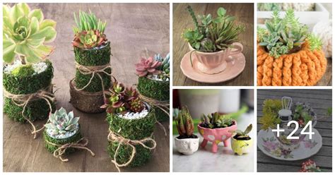 29 Easiest DIY Succulent Planters