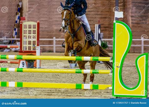 Horse Jumping an Obstacle during an Equestrian Competition on Blurred Background Stock Image ...