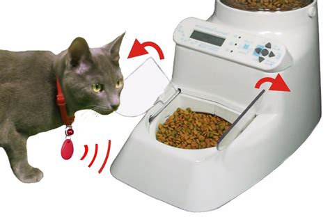 AUTOMATIC CAT FEEDER