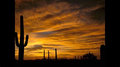 Sonoran Desert Wallpapers - Top Free Sonoran Desert Backgrounds - WallpaperAccess