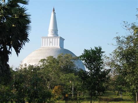 Buddhism in Sri Lanka - Alchetron, The Free Social Encyclopedia