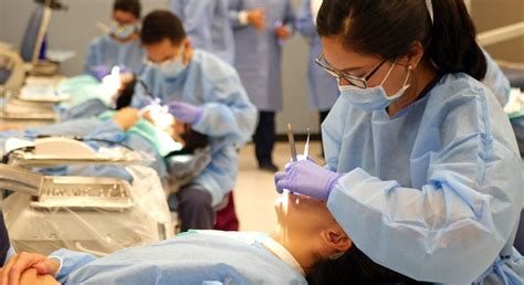 UPenn 7 Year Dental Program Acceptance Rate – CollegeLearners.com