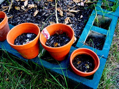 Planter Clay Pots Cinder Block Garden | Christopher Sessums | Flickr