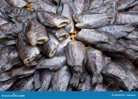 Salty fish stock photo. Image of organic, salted, fishery - 26838152