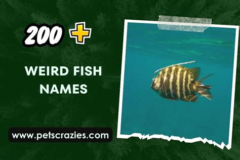 200+ Weird Fish Names (Splash with Aquatic Aliases)