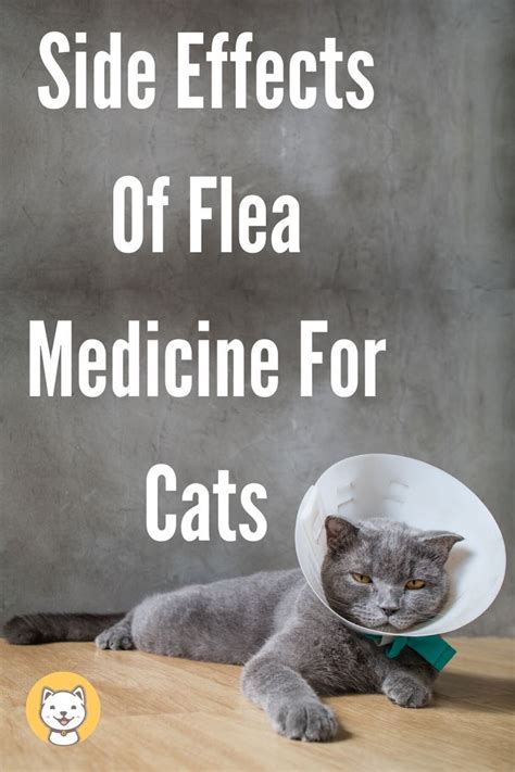 Side Effects Of Flea Medicine For Dogs