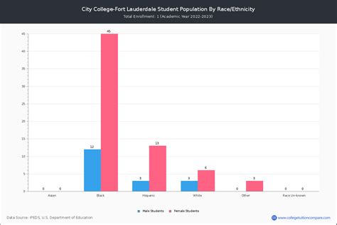 City College-Fort Lauderdale - Student Population and Demographics