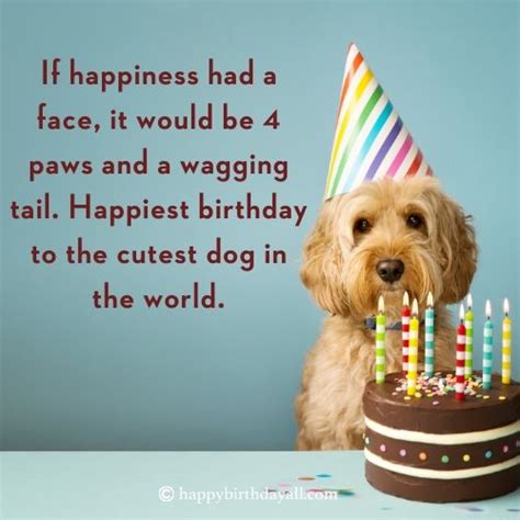 40+ Super Cute Happy Birthday Wishes for Dog with Images