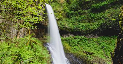 Beautiful Stuff: Silver Creek Falls. Oregon. [OC] [6000 x 4000]