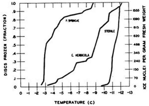 Bacterial nucleation in pseudomonas syringae - microbewiki