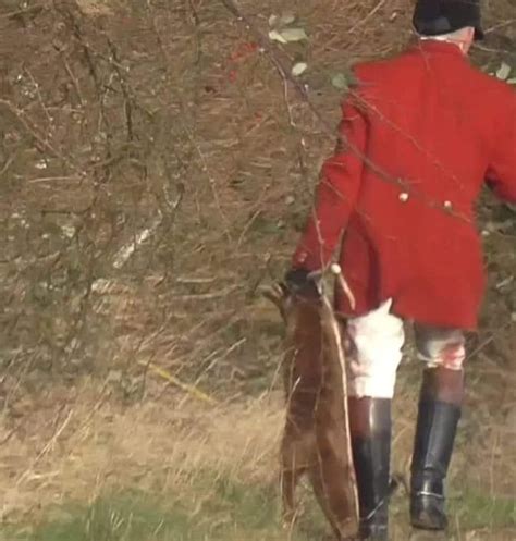 Essex and Suffolk Hunt staff arrested for killing fox