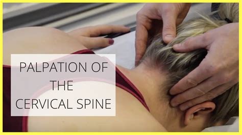 Palpation Of The Cervical Spine - YouTube