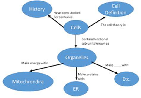 Learning and Memory Lesson 6. Concept Mapping | Psychology Today