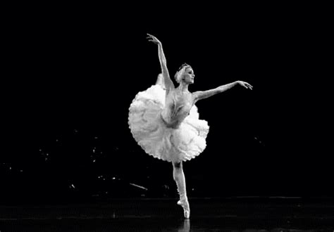 ZsaZsa Bellagio – Like No Other: You can call me the Queen Bee | Ballet steps, Ballet gif ...