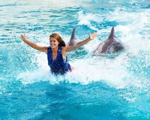 Dolphin Swim Hawaii Incl Admission to Sea Life Park