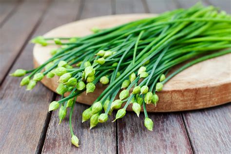 Garlic Chives: The Herb For A Milder Garlic Flavor