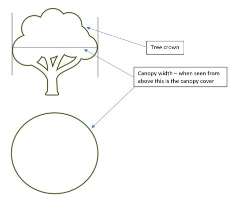 Why we need more canopy cover? | GROWING GREEN: Tree Canopy Improvement ...