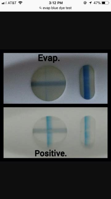 Difference between Evap lines and Positives on BLUE DYE TESTS. - Glow ...