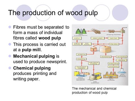 What’s the type and process of pulp?