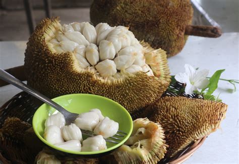 Marang: A Pungent But Delicious Tropical Fruit