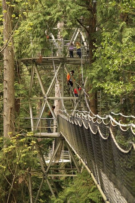 Platform on the Greenheart Canopy Walkway at UBC's Botanical Garden. Photo: Robyn Hanson ...