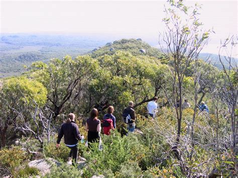 Wilsons Promontory National Park: The best Wilsons Prom Walks