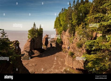 Low-tide at the Hopewell Rocks Provincial Park, New Brunswick, Canada ...