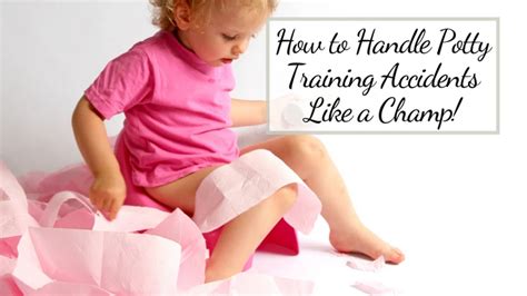 Managing Potty Training Accidents for Your Tornjak - Dog Care Hacks