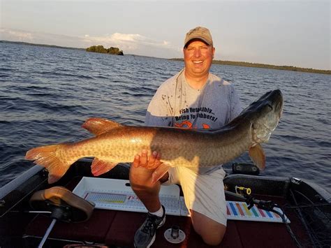 Lake Vermilion fishing mid August - Everett Bay Lodge