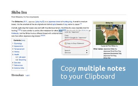 Easy Clipboard for Google Chrome - Extension Download